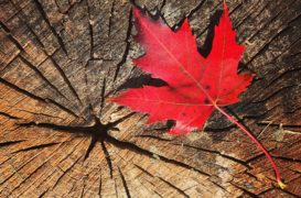 Entreprise au Canada, 10 conseils clés pour bien démarrer