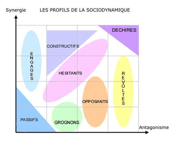 L’élan sociodynamique, de Jean-Christian Fauvet (Editions d’organisation)